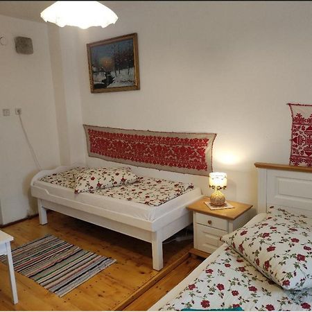 Elza Guesthouse Rimetea Bagian luar foto