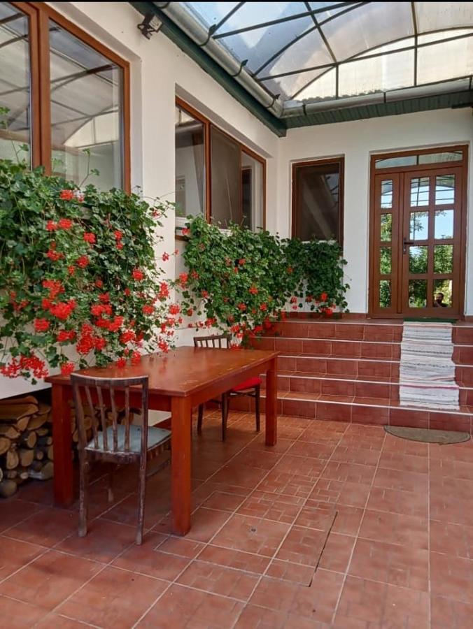 Elza Guesthouse Rimetea Bagian luar foto