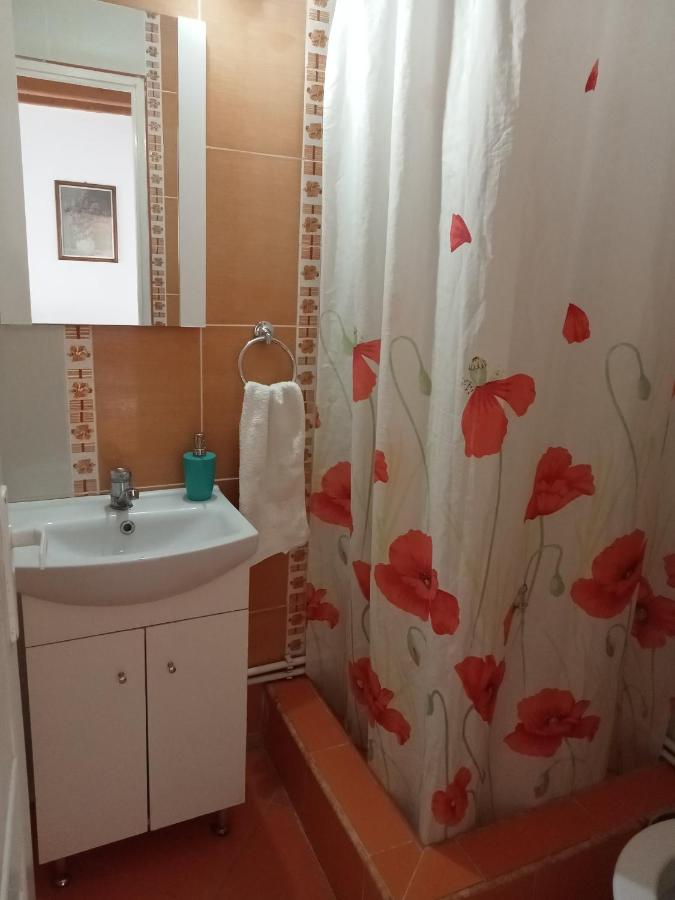 Elza Guesthouse Rimetea Bagian luar foto