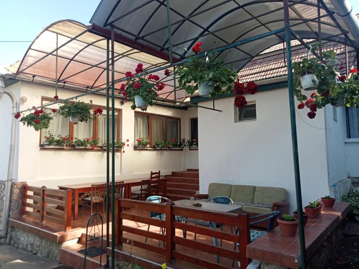 Elza Guesthouse Rimetea Bagian luar foto