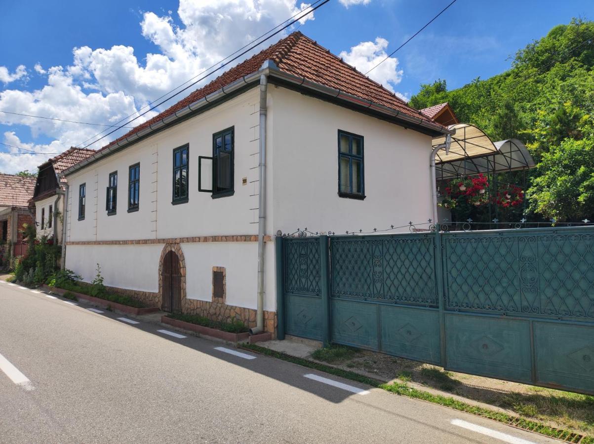 Elza Guesthouse Rimetea Bagian luar foto