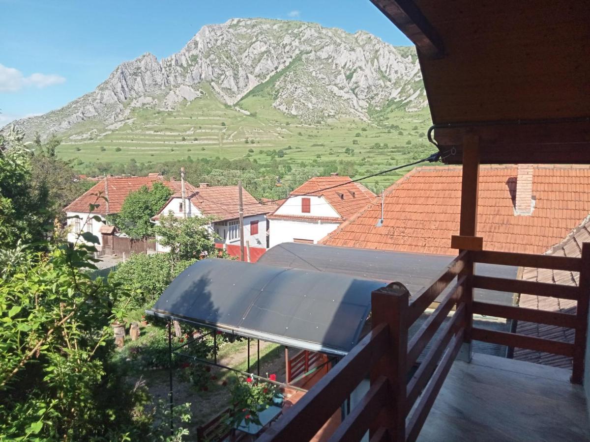 Elza Guesthouse Rimetea Bagian luar foto