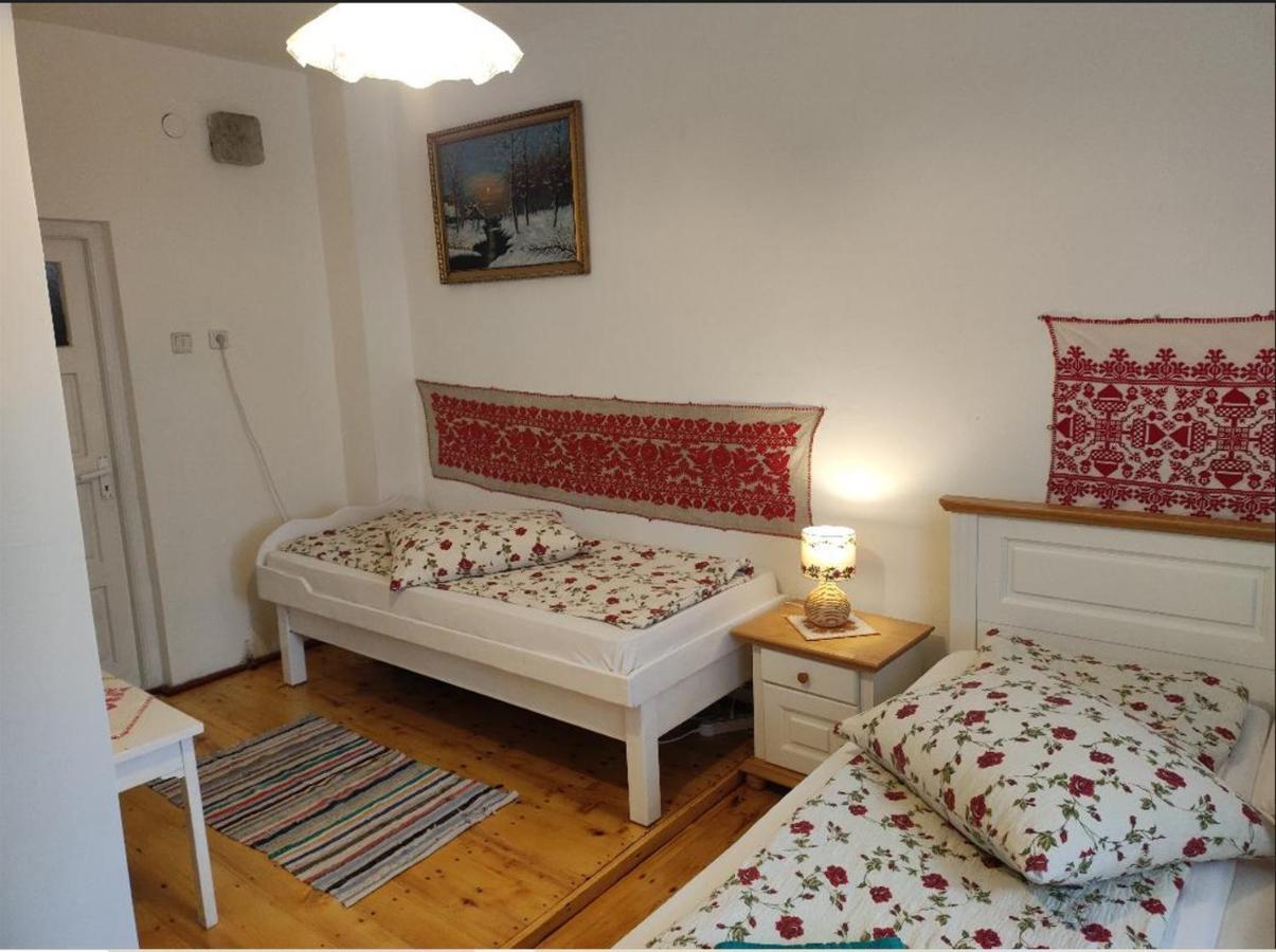 Elza Guesthouse Rimetea Bagian luar foto
